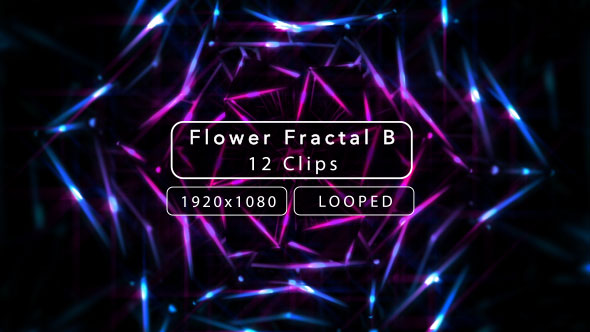 Flower Fractal B, Motion Graphics | VideoHive